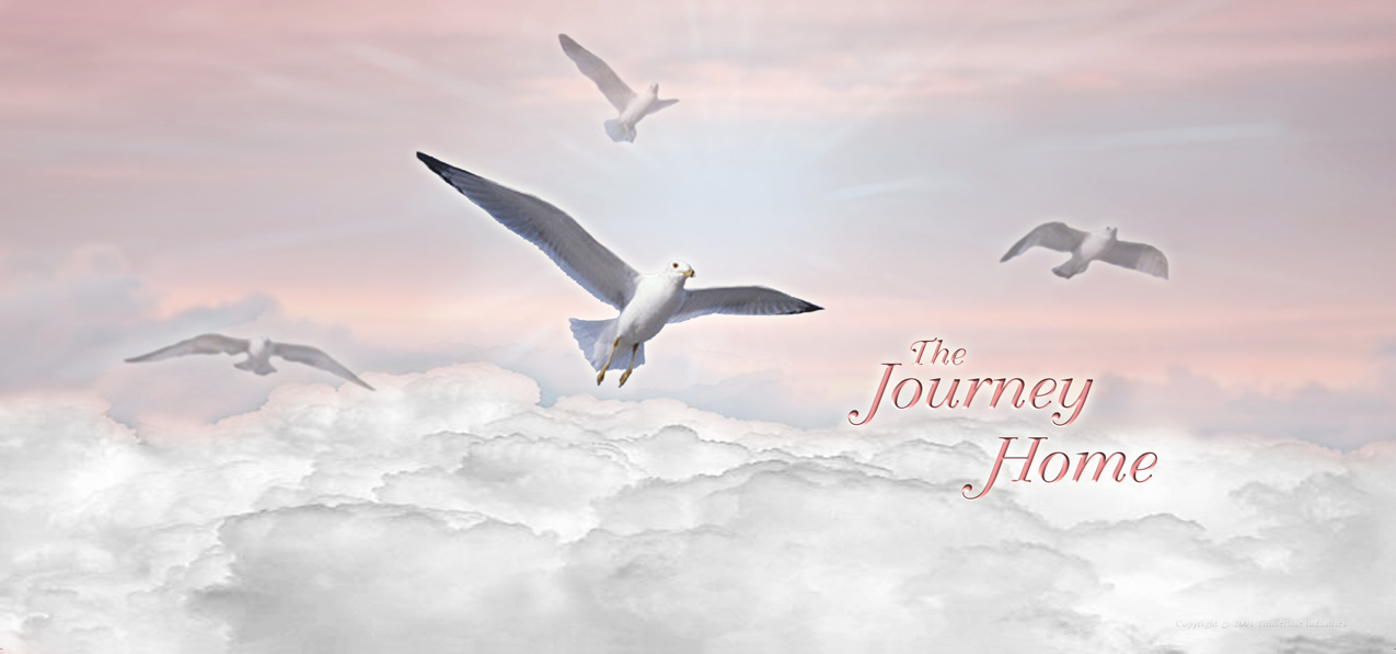 HP-AG-101-PK Journey Home Pink